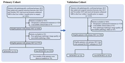 Corona enhancement combined with microvascular invasion for prognosis prediction of macrotrabecular-massive hepatocellular carcinoma subtype